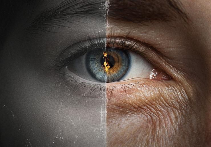 PROJEKTAS „KODAS: LAISVĖS IR VIENYBĖS LIEPSNA“